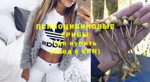 а пвп мука Балахна