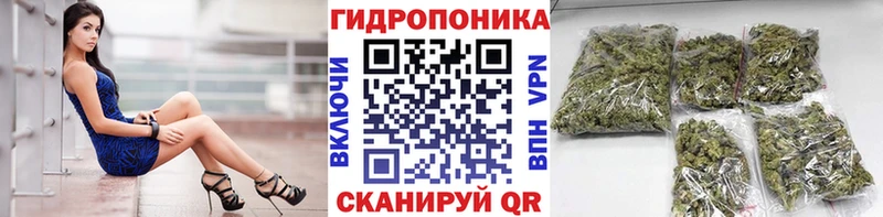 Бошки марихуана SATIVA & INDICA  цены наркотик  Курильск 